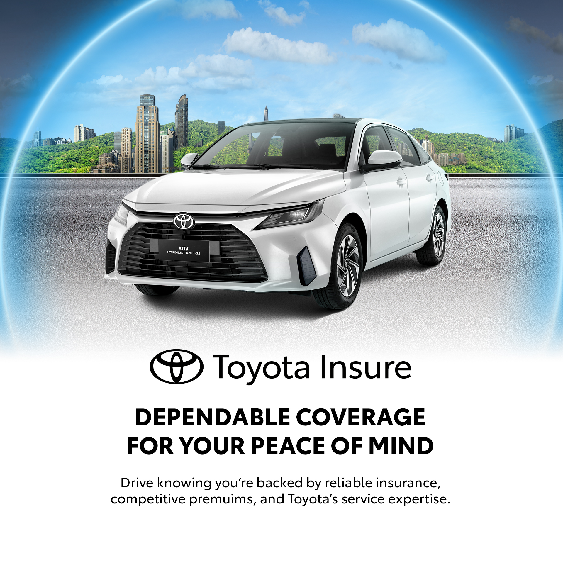 what_is_insure_vehicle